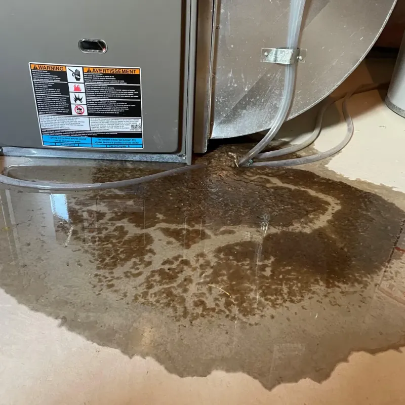 Appliance Leak Cleanup in Unionville, NC